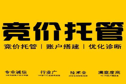 网络推广竞价实战案例分析集